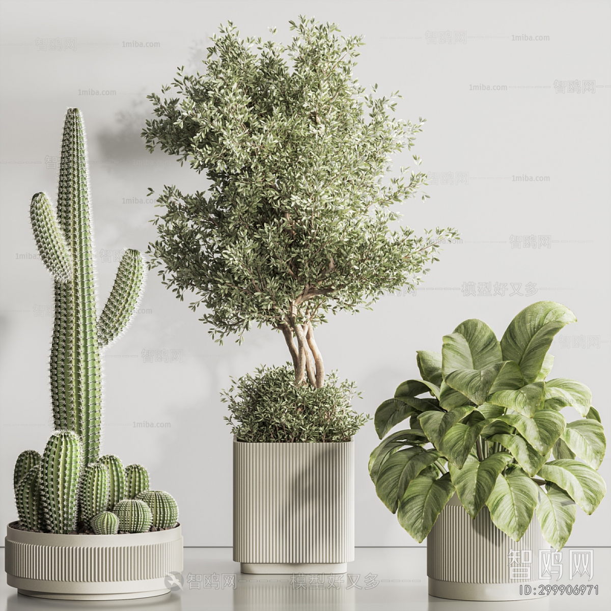 Modern Ground Green Plant Potted Plants
