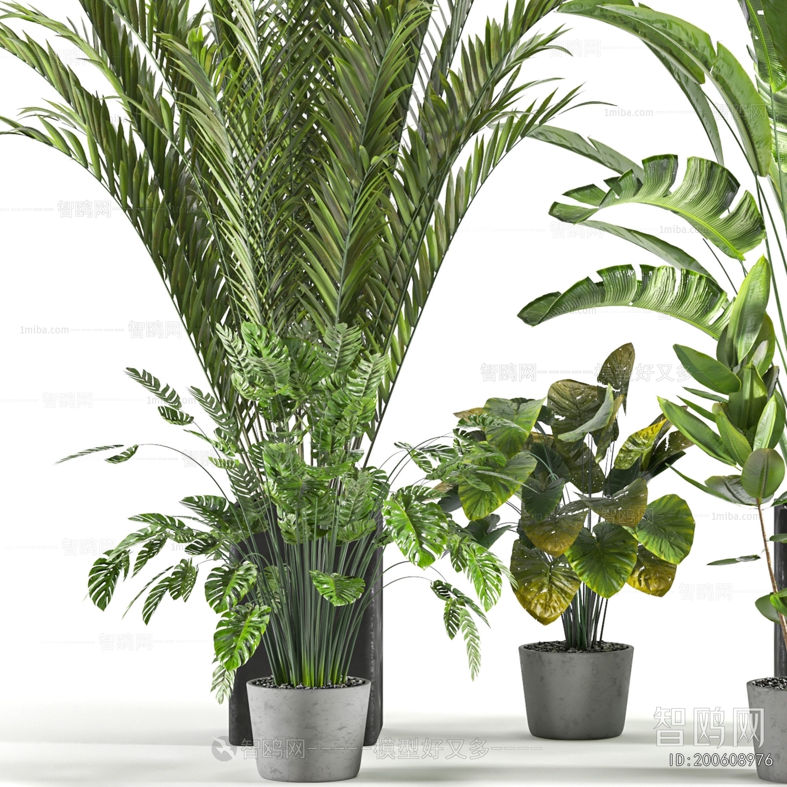 Modern Ground Green Plant Potted Plants