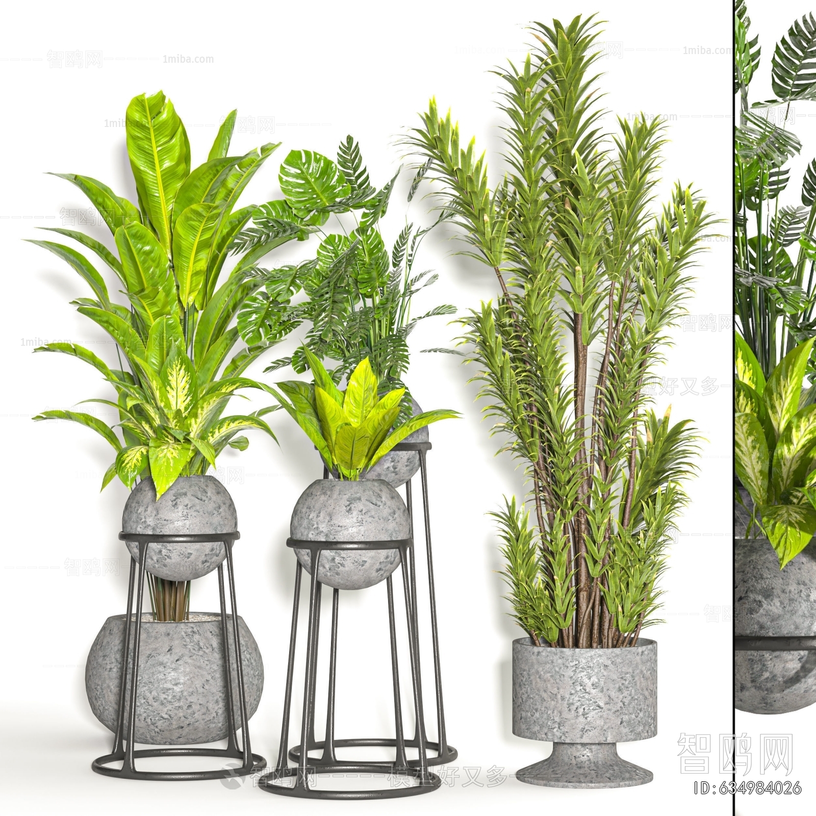 Modern Ground Green Plant Potted Plants