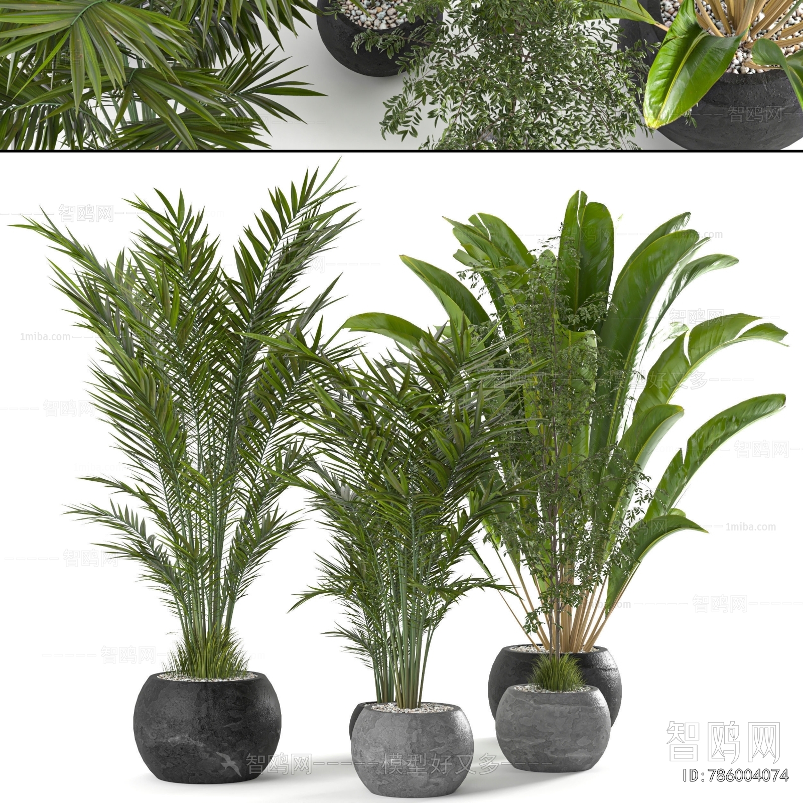 Modern Ground Green Plant Potted Plants