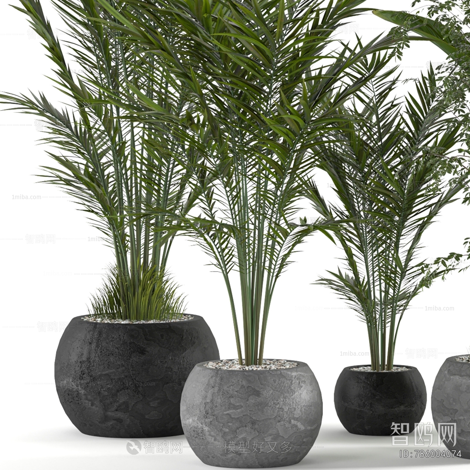 Modern Ground Green Plant Potted Plants