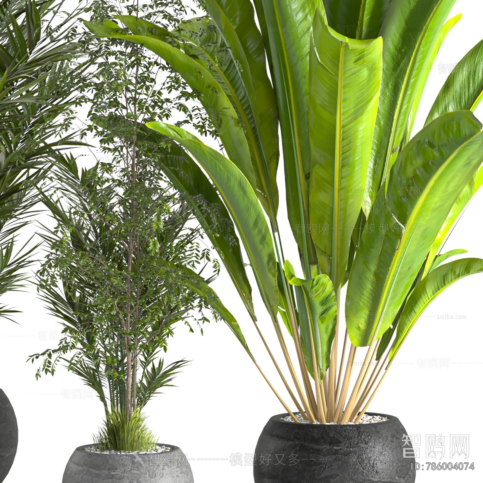 Modern Ground Green Plant Potted Plants