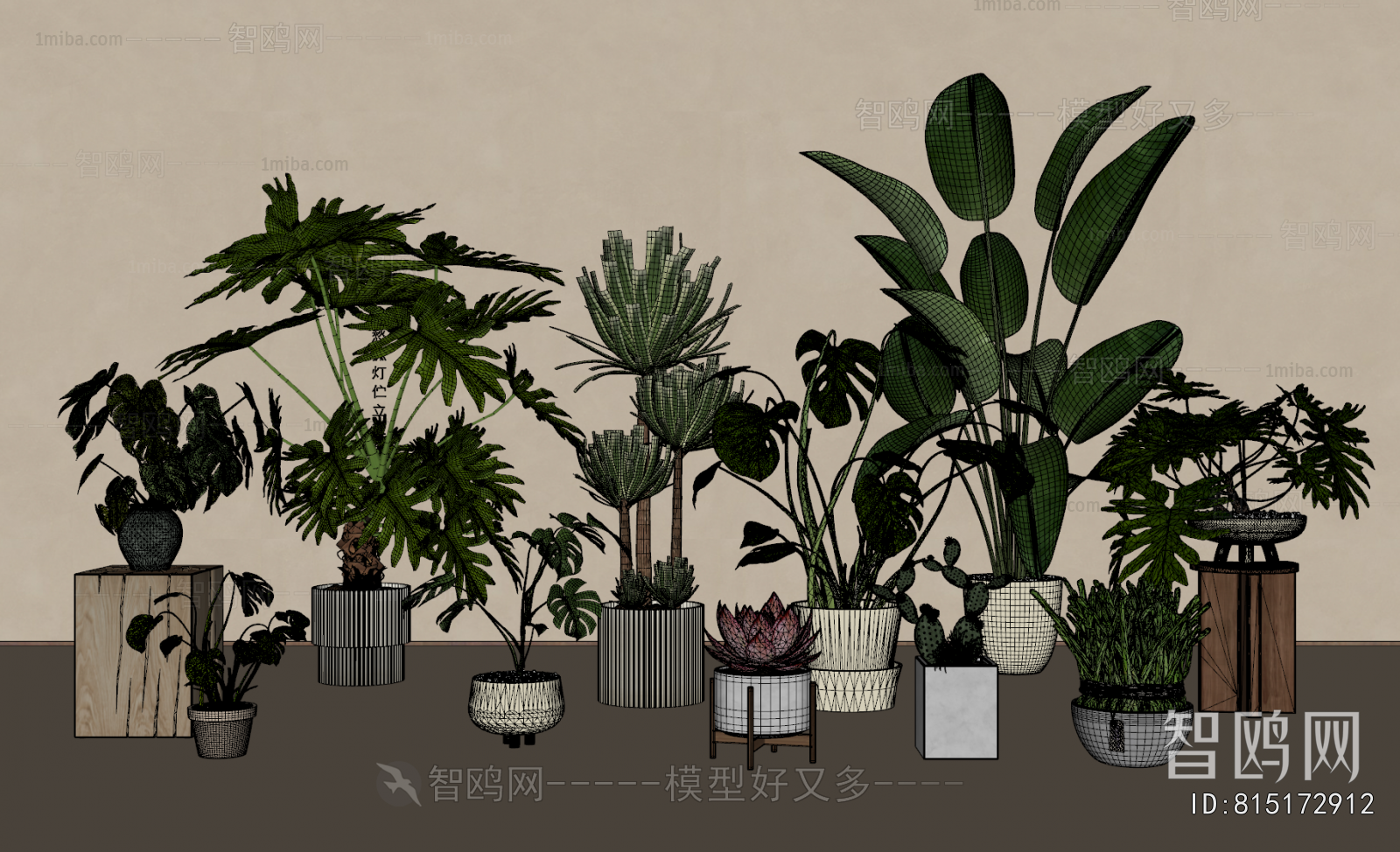 Modern Potted Green Plant