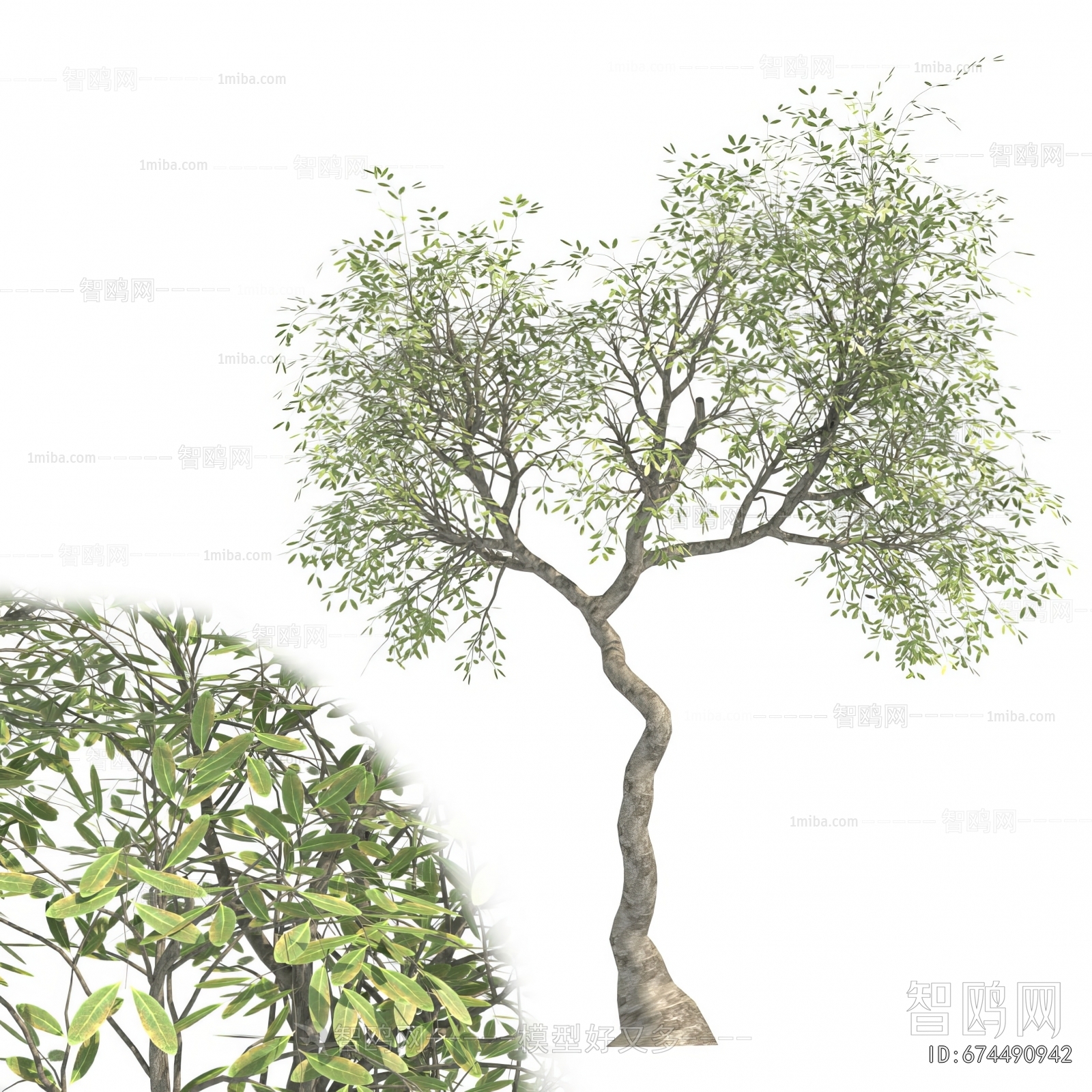 Modern Tree