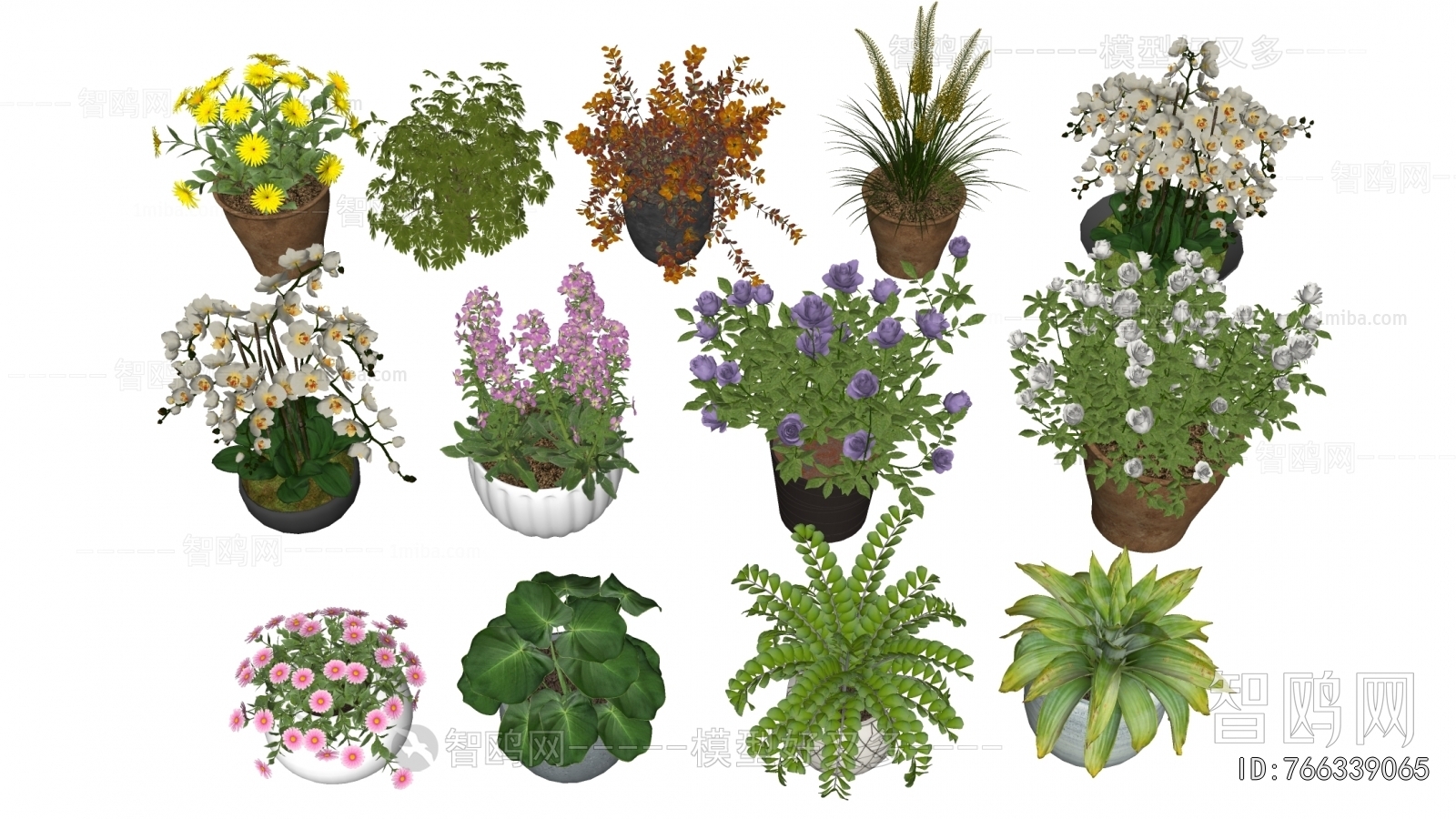 Modern Potted Green Plant