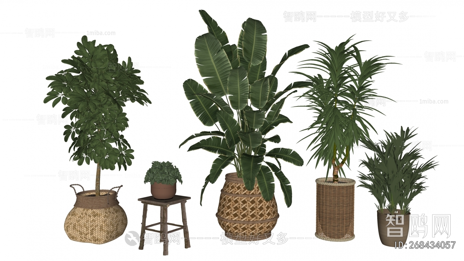 Modern Ground Green Plant Potted Plants