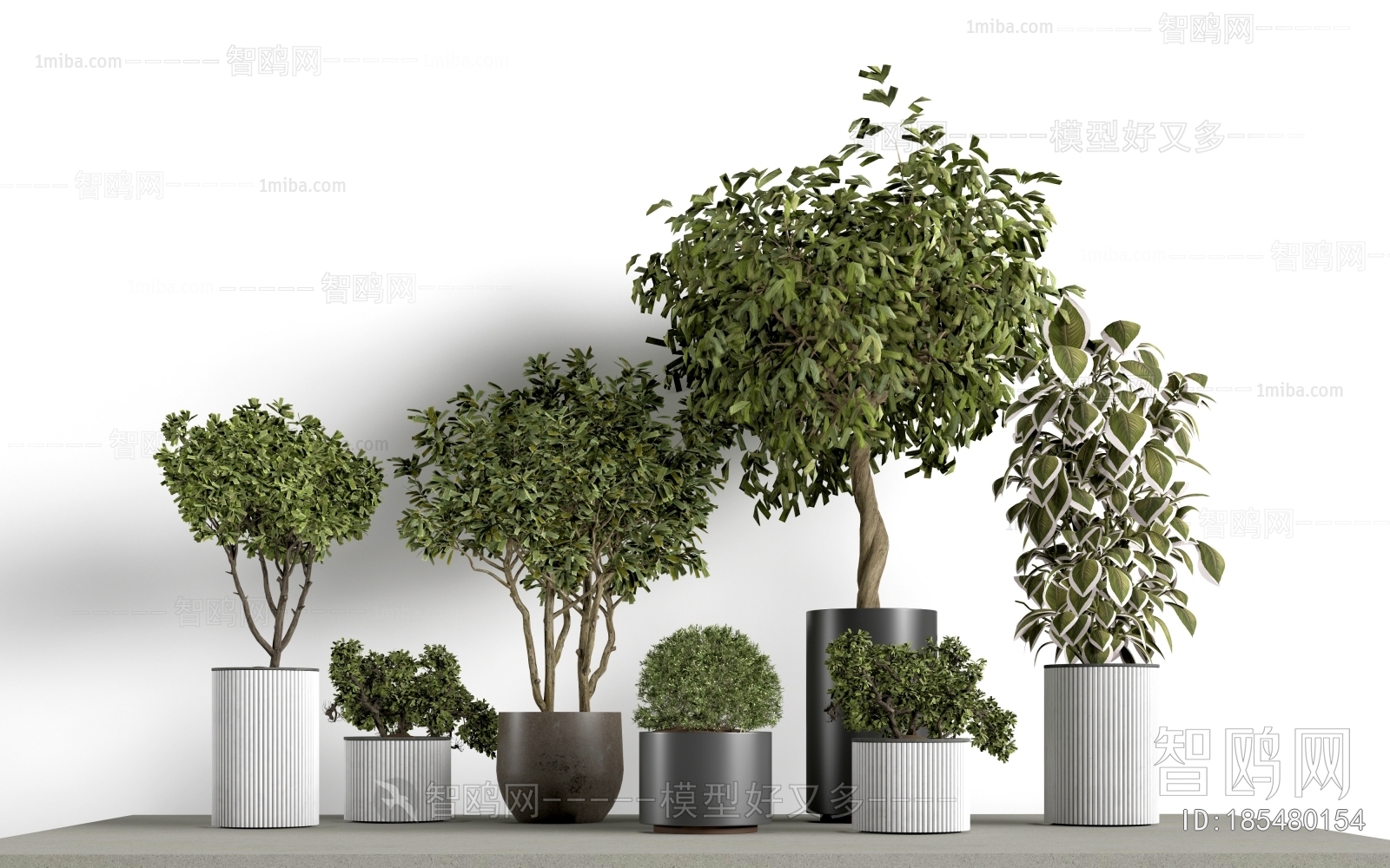 Modern Ground Green Plant Potted Plants