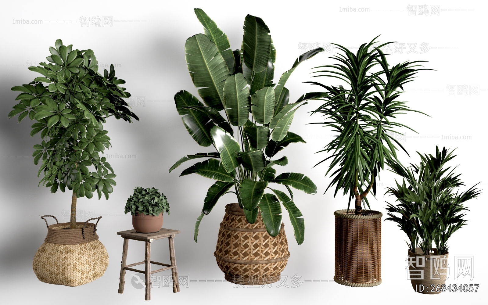 Modern Ground Green Plant Potted Plants