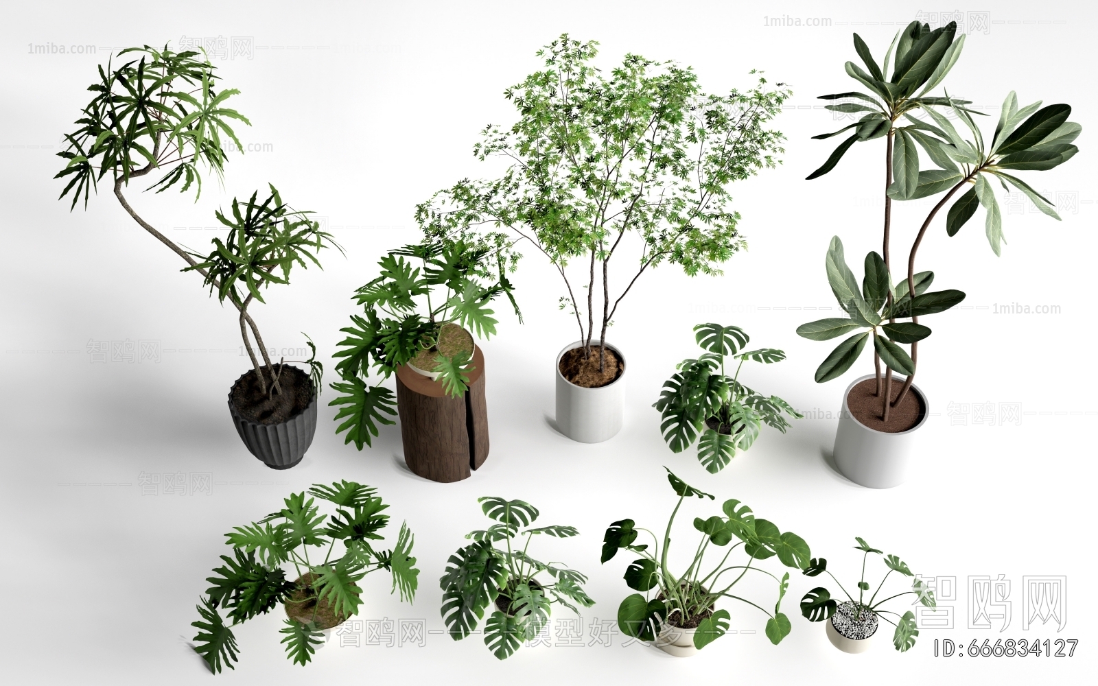 Modern Ground Green Plant Potted Plants