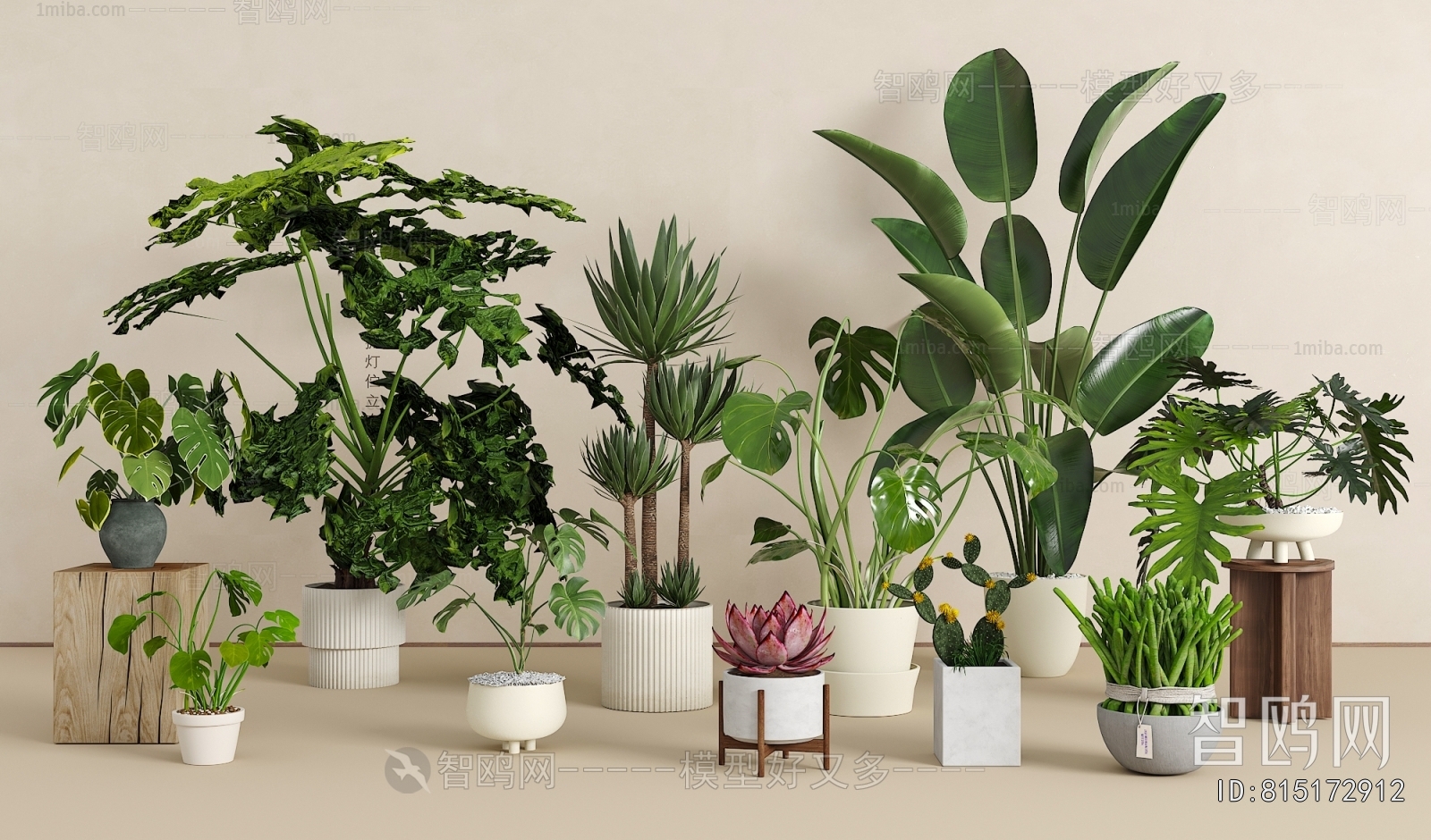 Modern Potted Green Plant