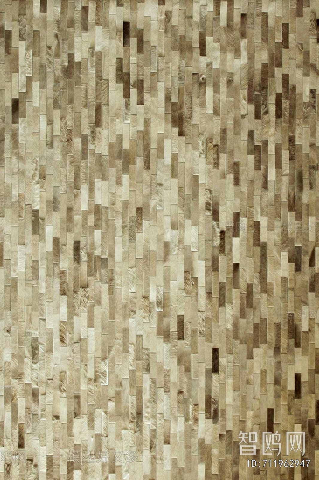 Modern Rug