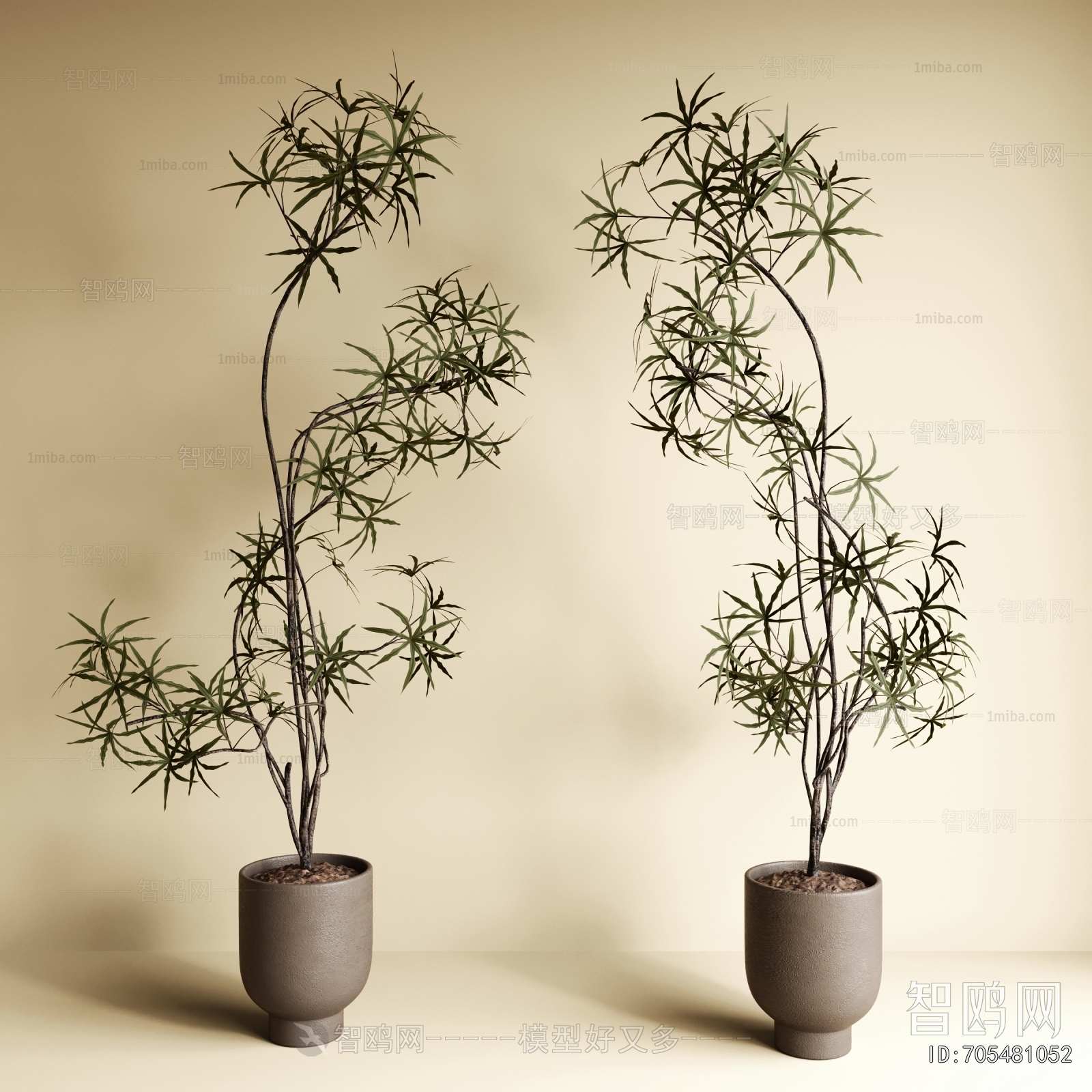 Modern Ground Green Plant Potted Plants