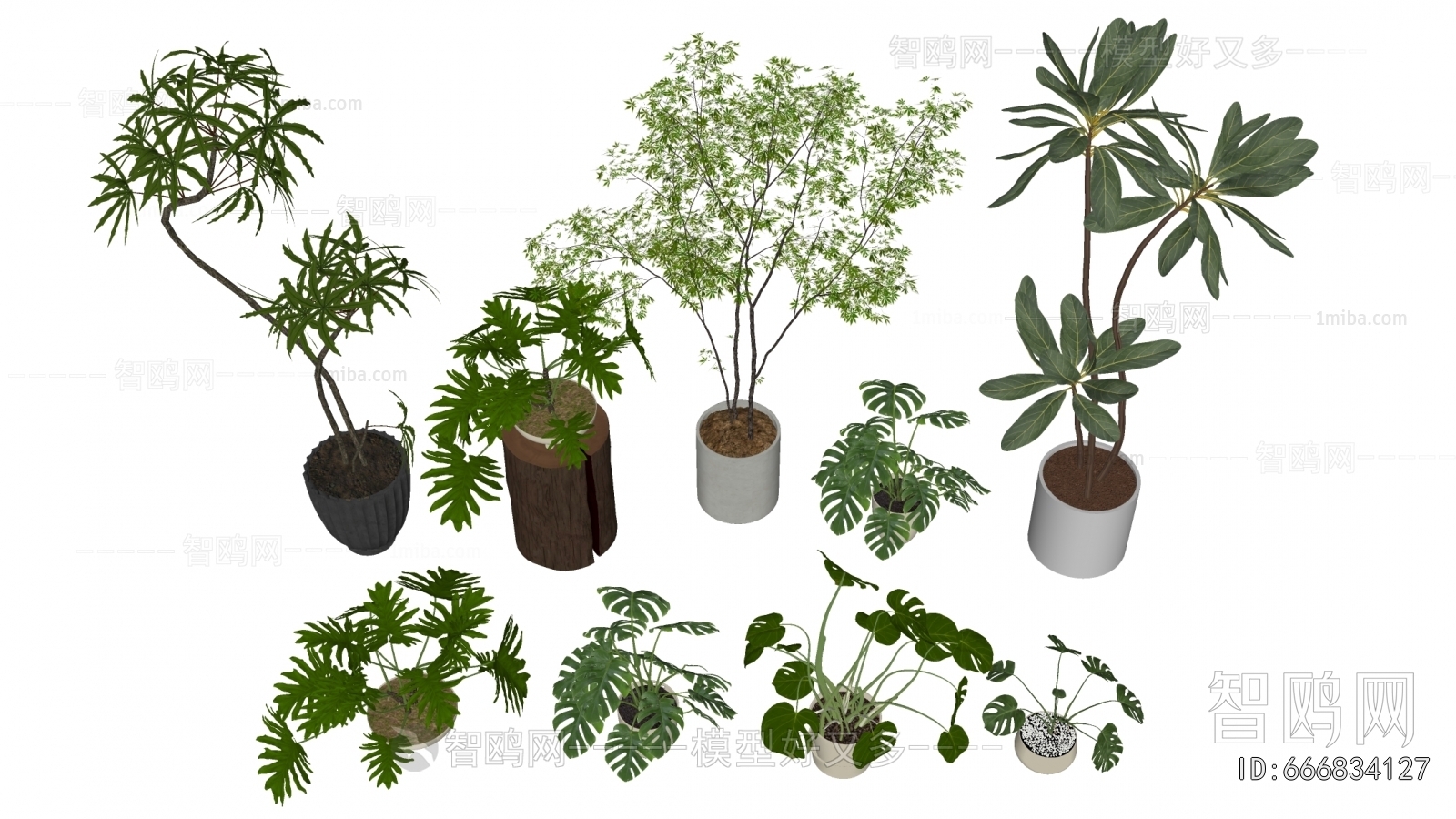 Modern Ground Green Plant Potted Plants