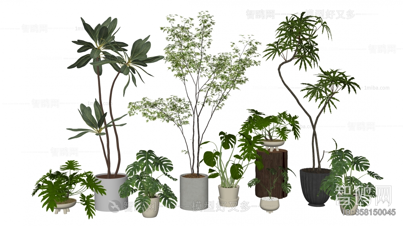 Modern Ground Green Plant Potted Plants