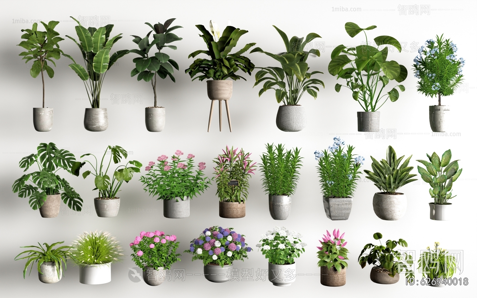 Modern Potted Green Plant