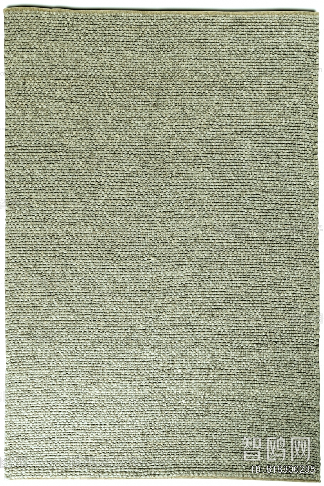 Modern Rug