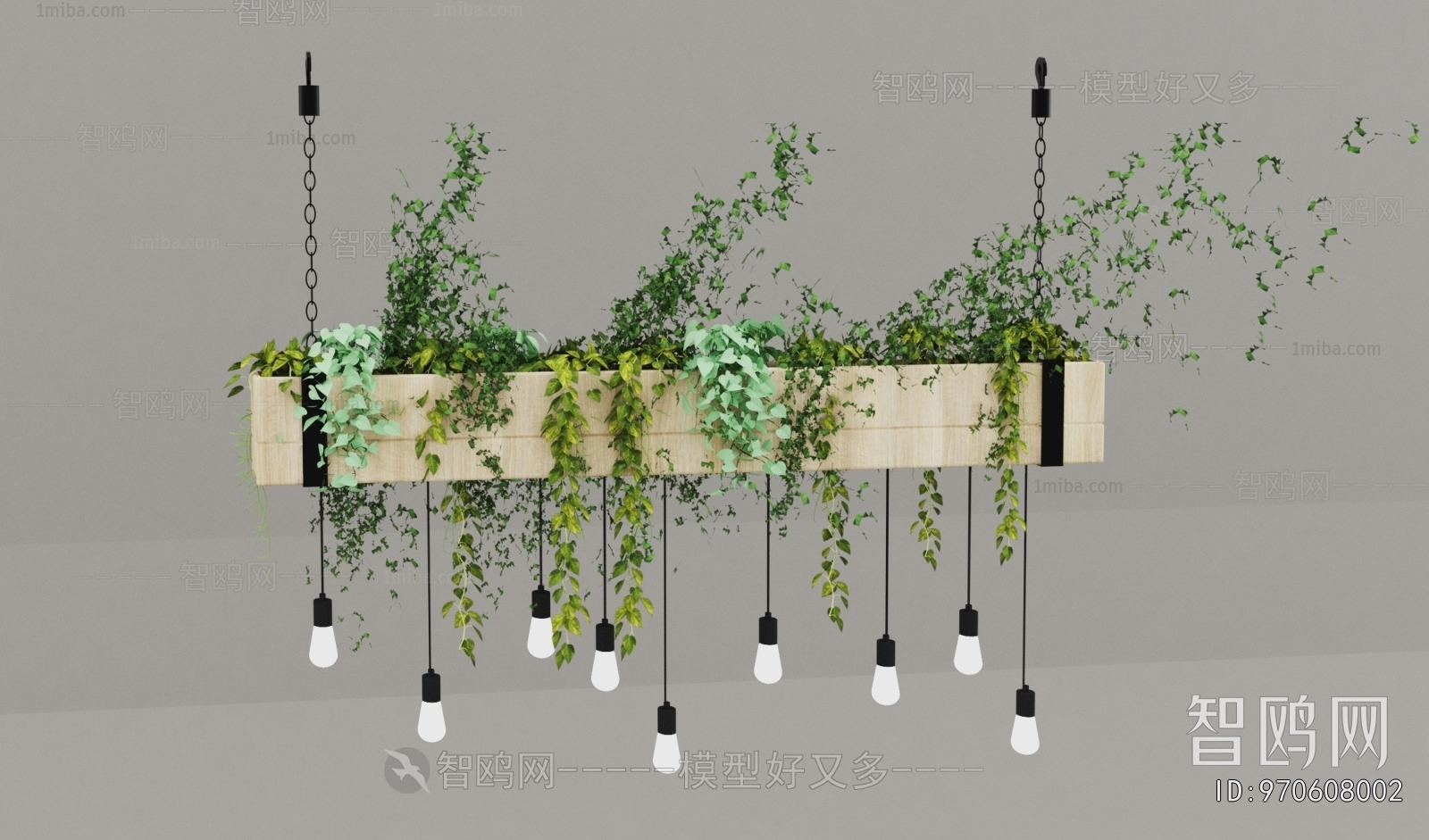 Modern Chlorophytum Comosum