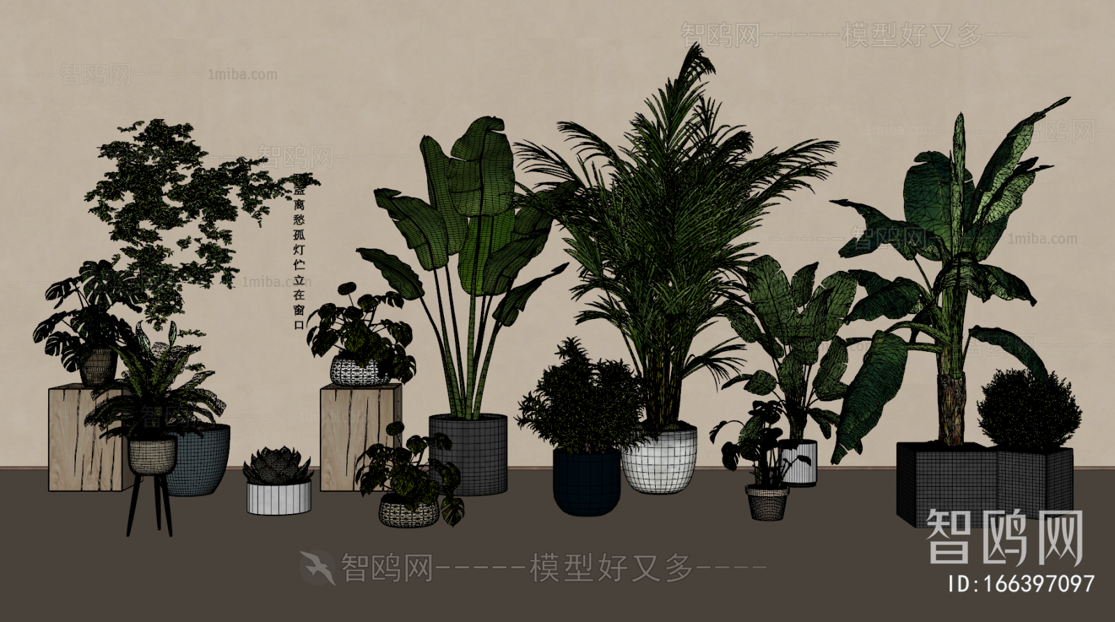 Modern Potted Green Plant