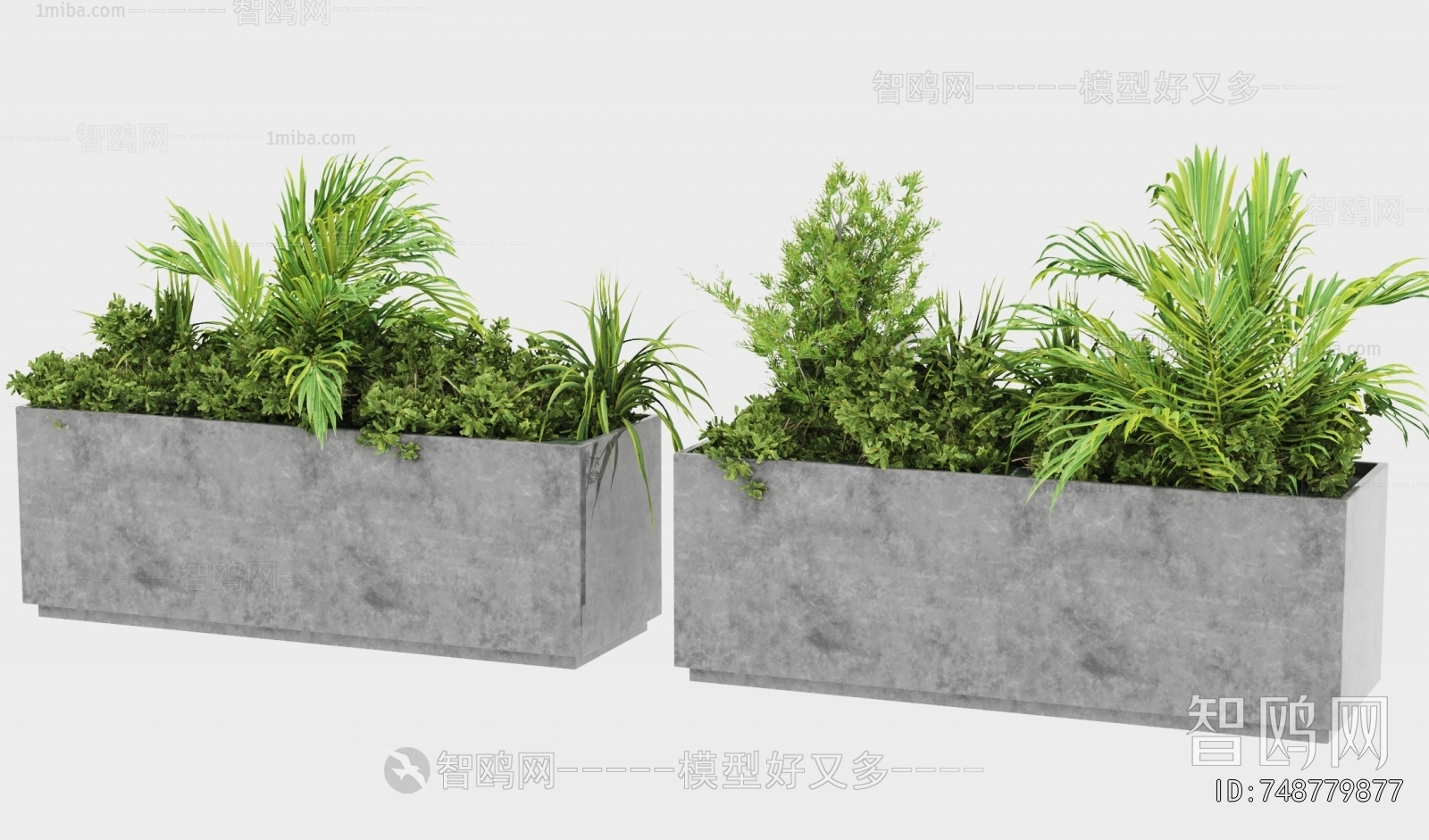 Modern Flower Bed, Flower Bowl, Flower Box