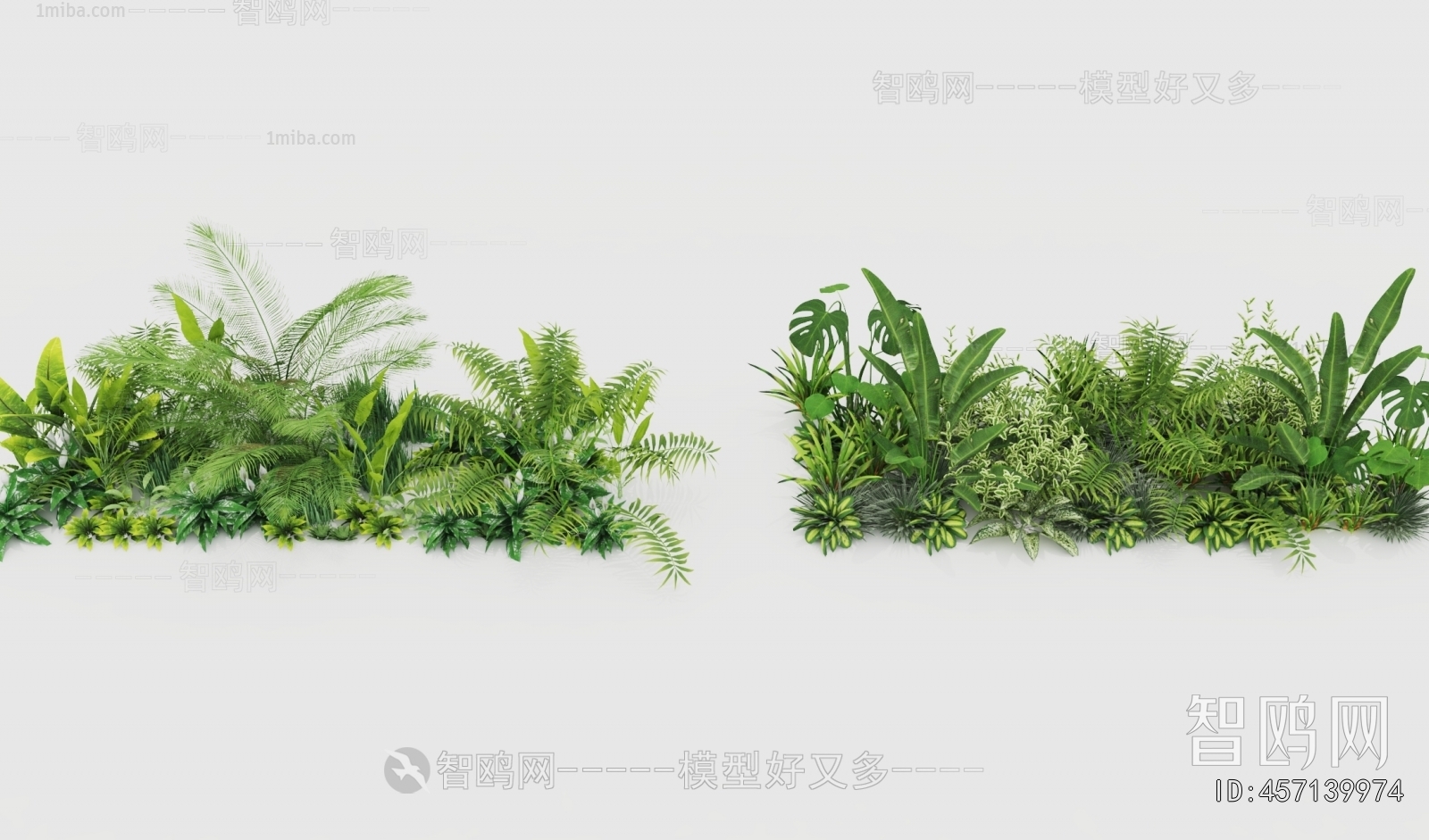 Modern Flowers And Grass