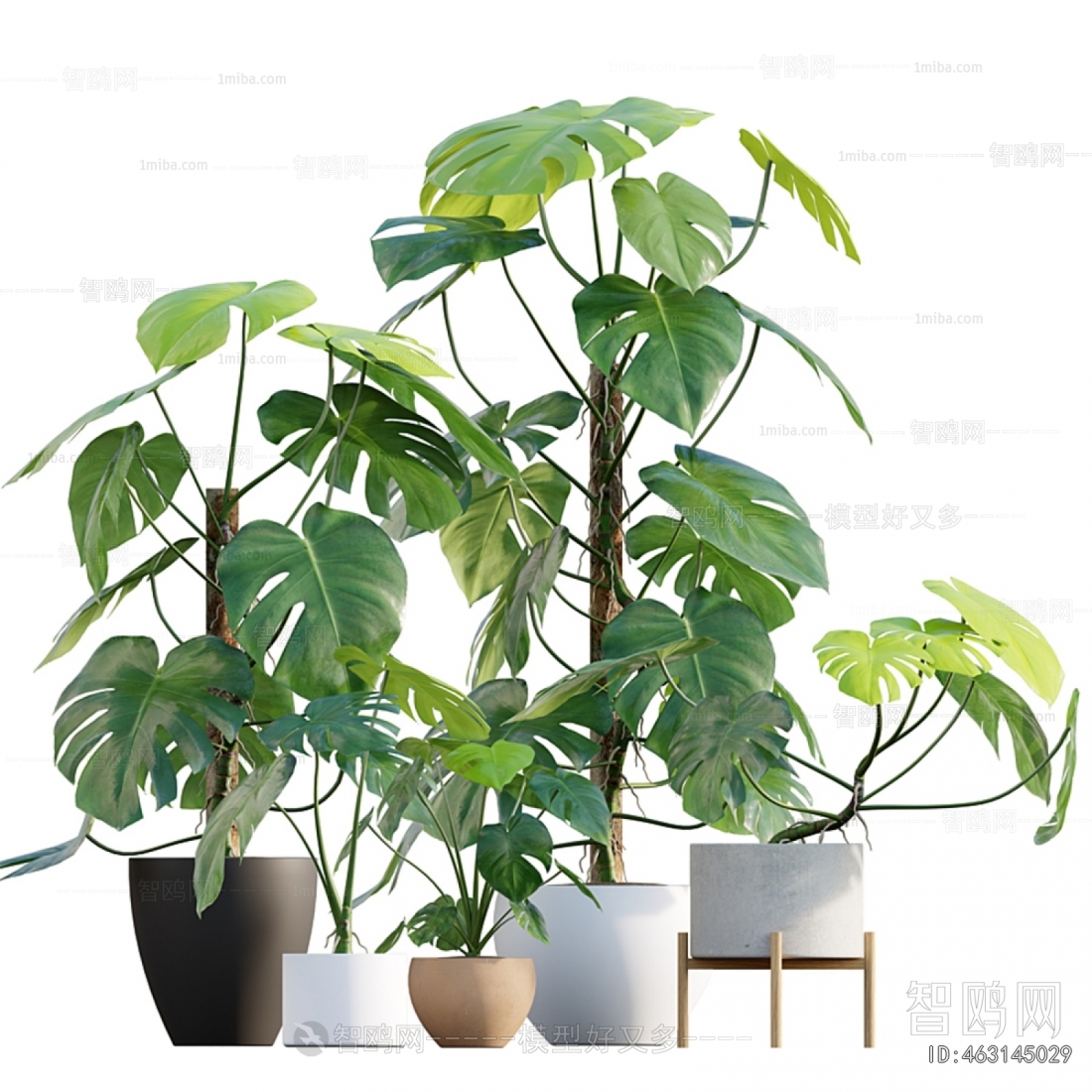 Modern Potted Green Plant