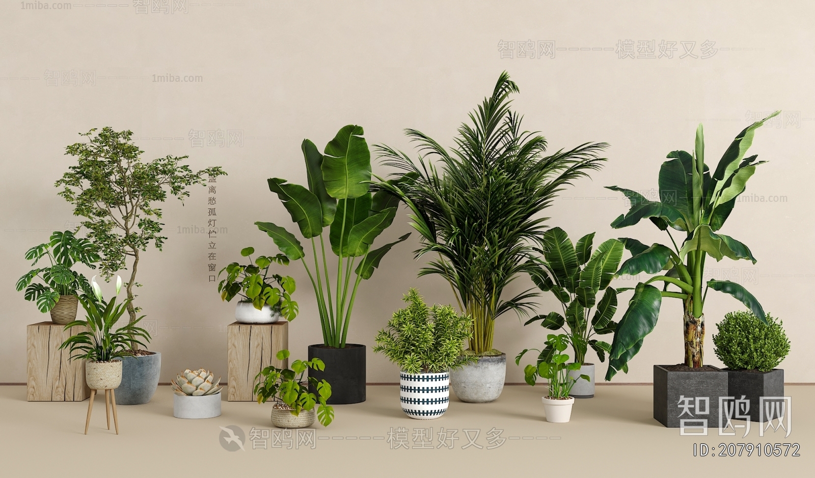 Modern Potted Green Plant