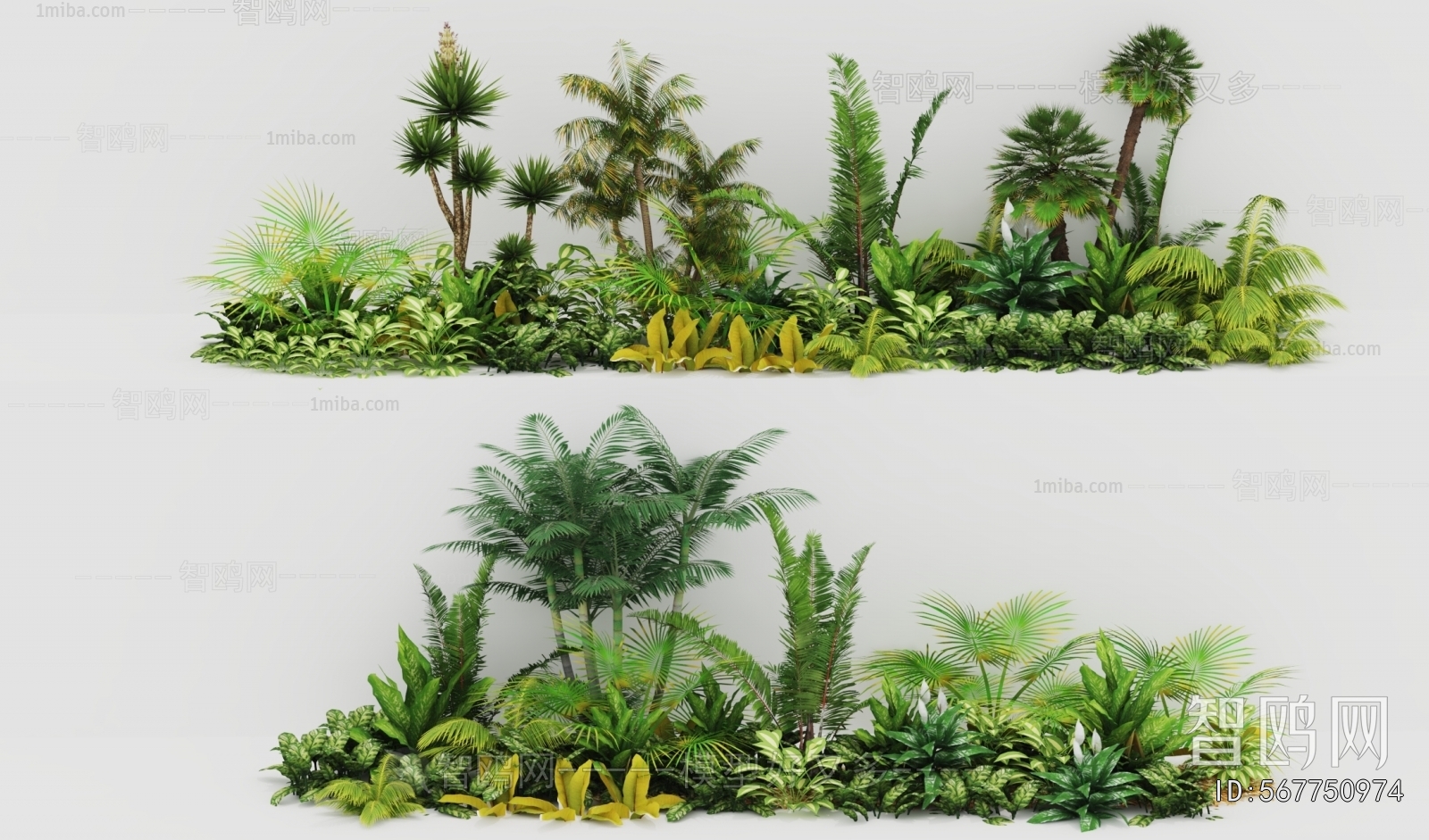 Modern Potted Green Plant