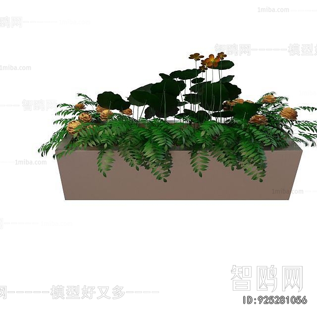 Modern Flower Bed, Flower Bowl, Flower Box