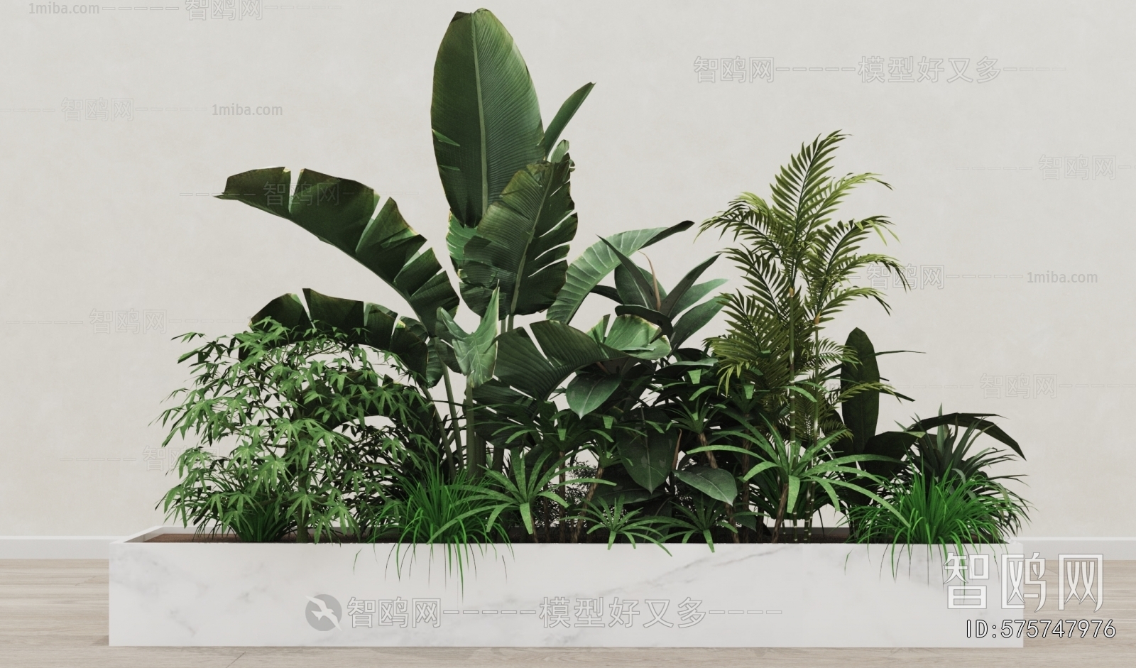 Modern Plant Landscaping