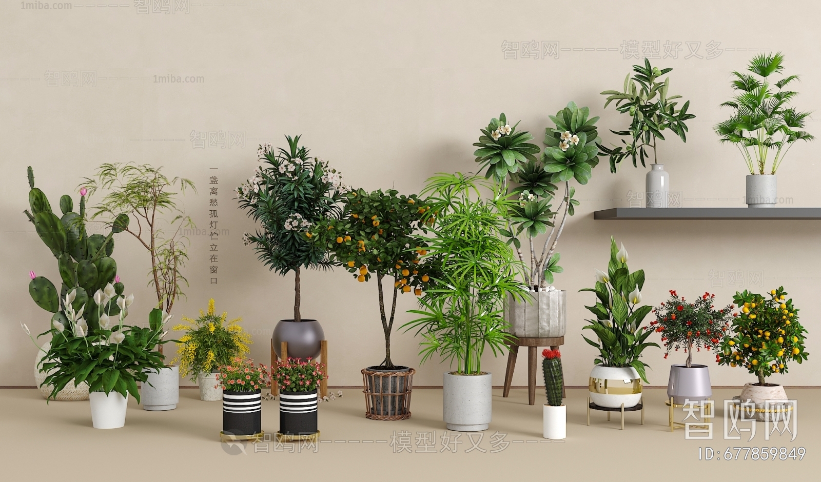 Modern Potted Green Plant