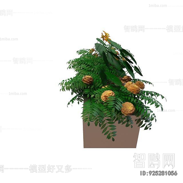 Modern Flower Bed, Flower Bowl, Flower Box