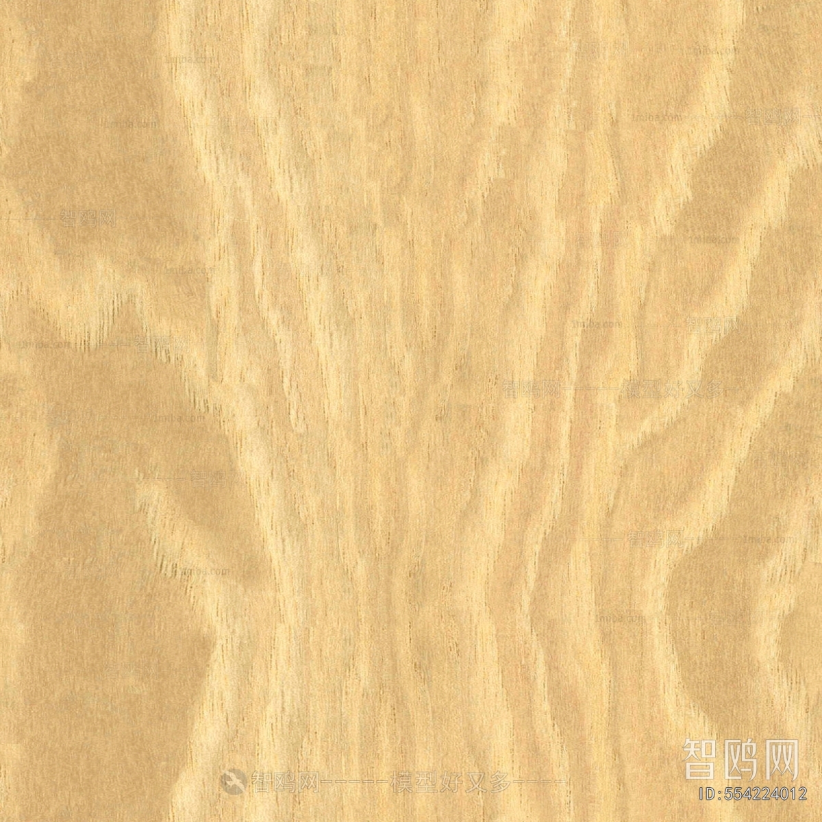 Wood Texture