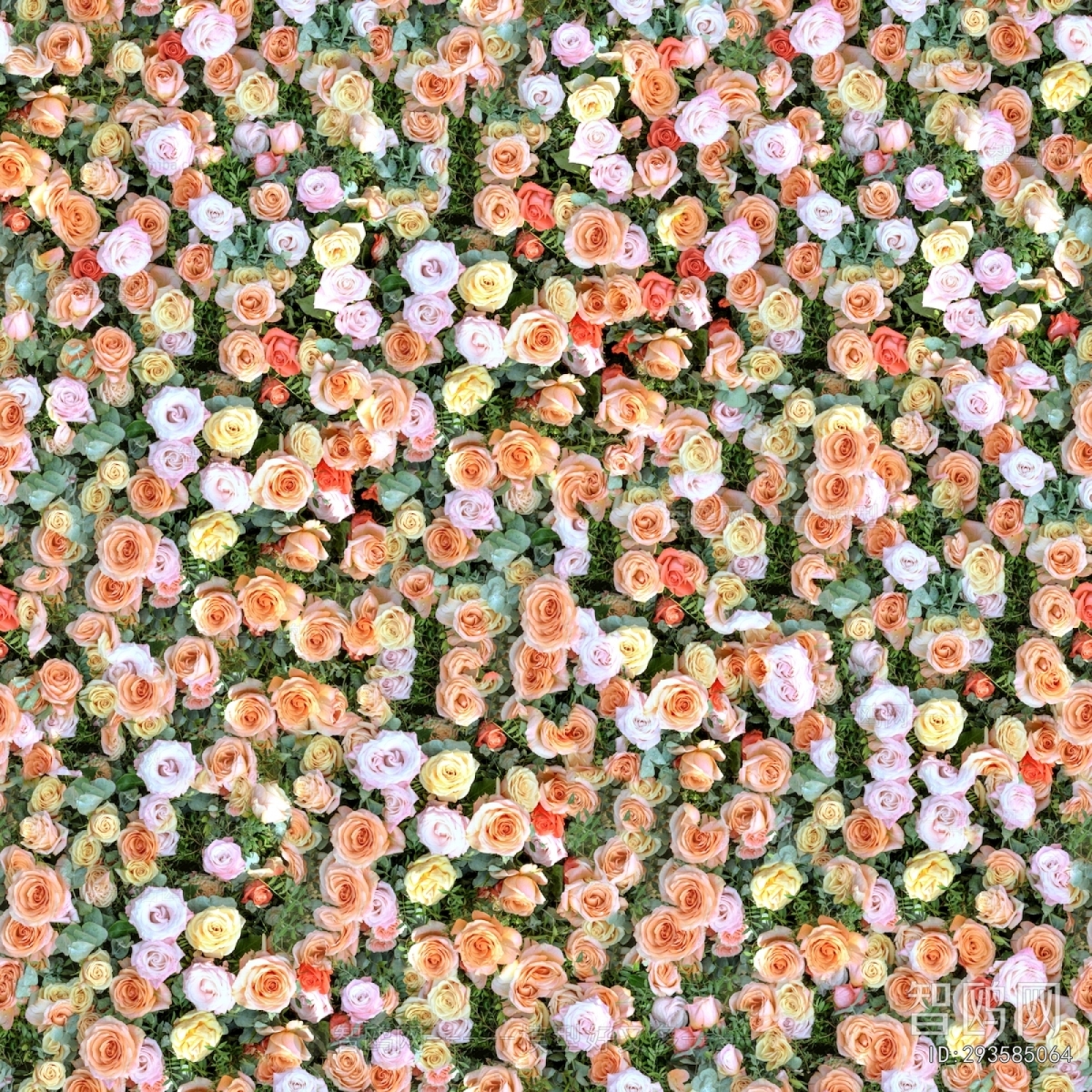 鲜花花丛
