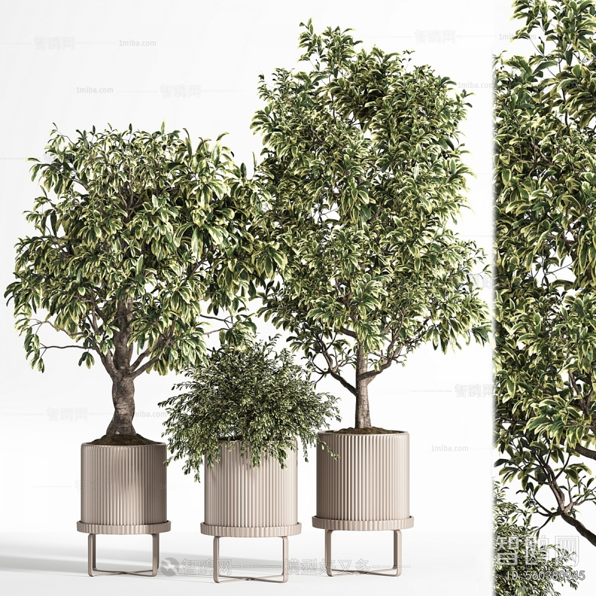 Modern Ground Green Plant Potted Plants