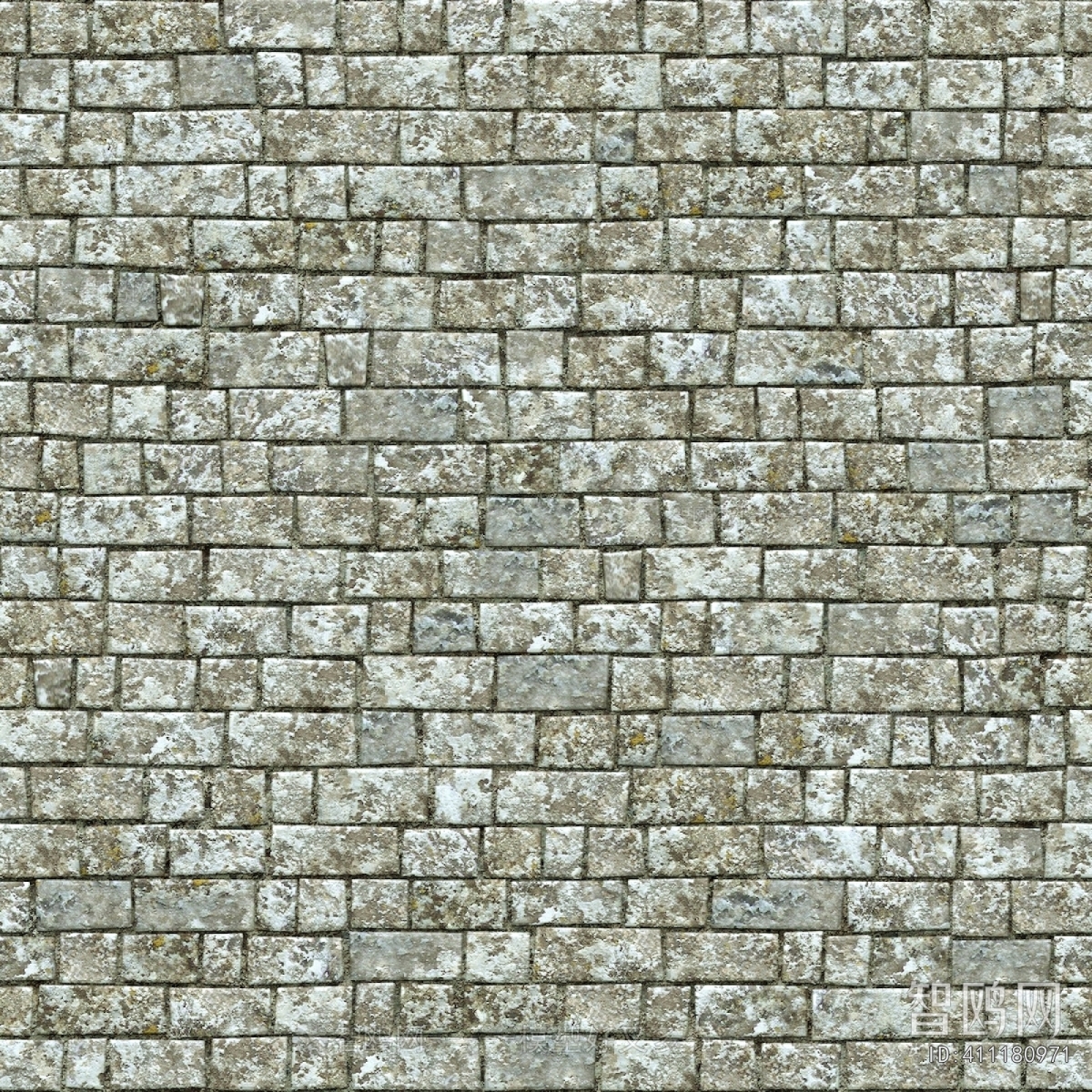 Stone Brick Wall