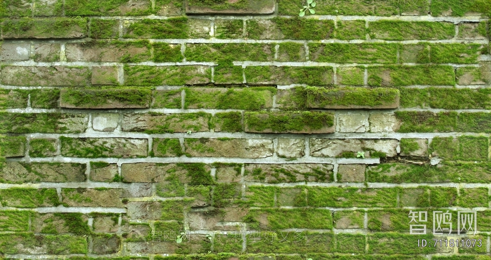 Stone Brick Wall