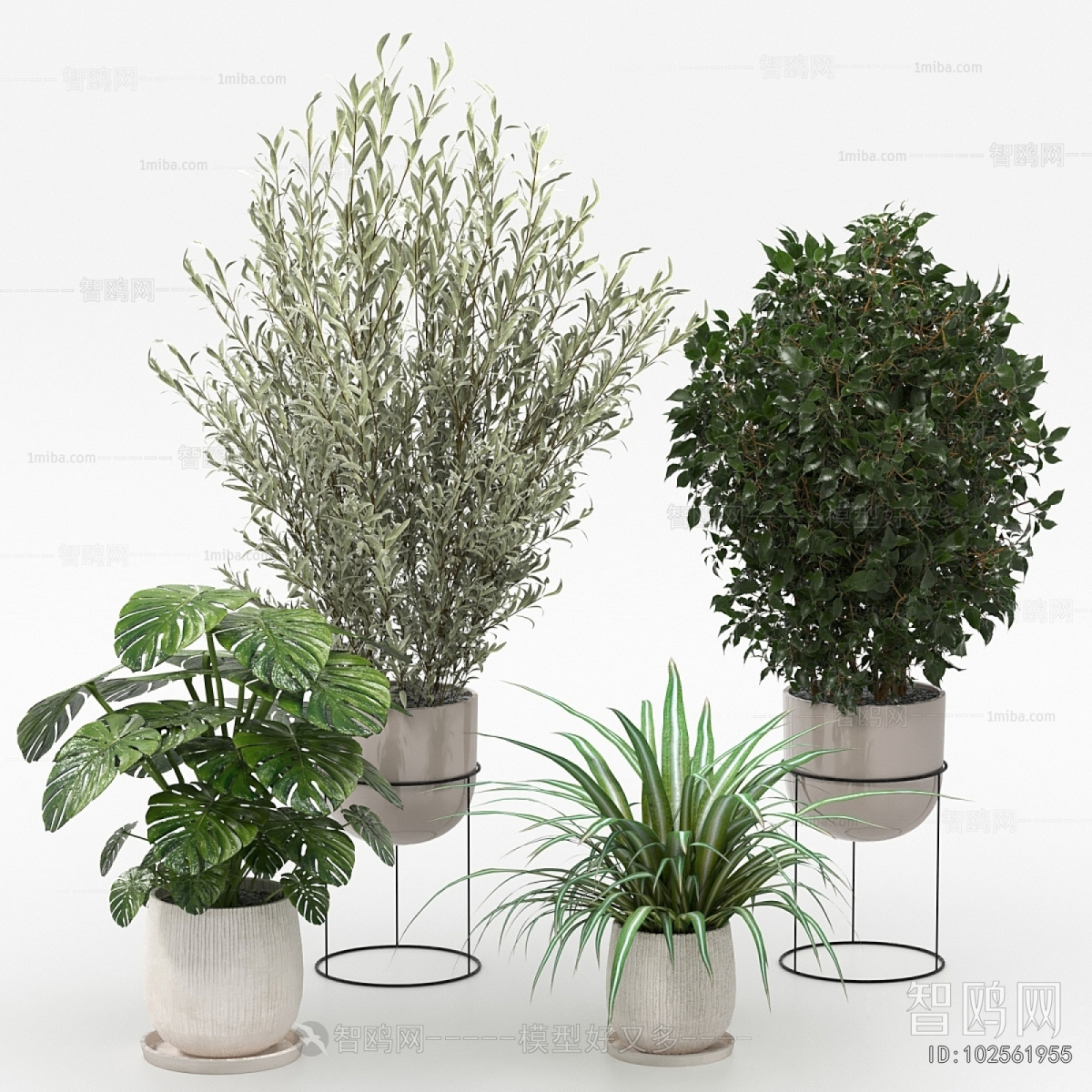 Modern Ground Green Plant Potted Plants