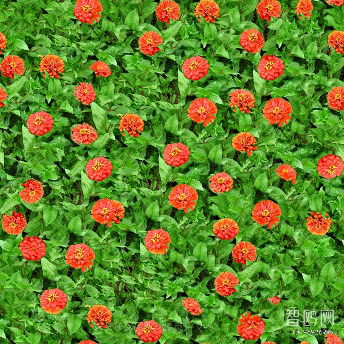 鲜花花丛