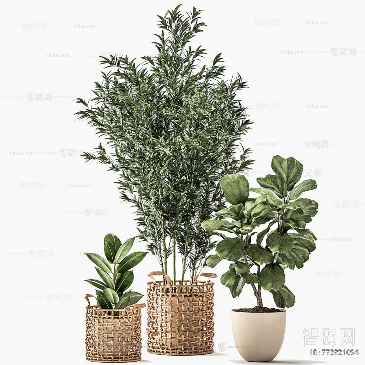 Modern Shrubbery