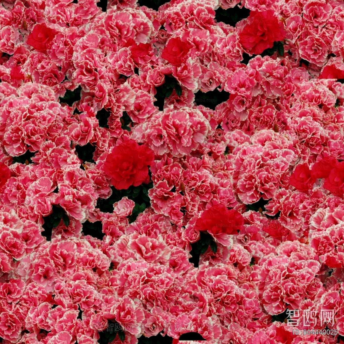 鲜花花丛