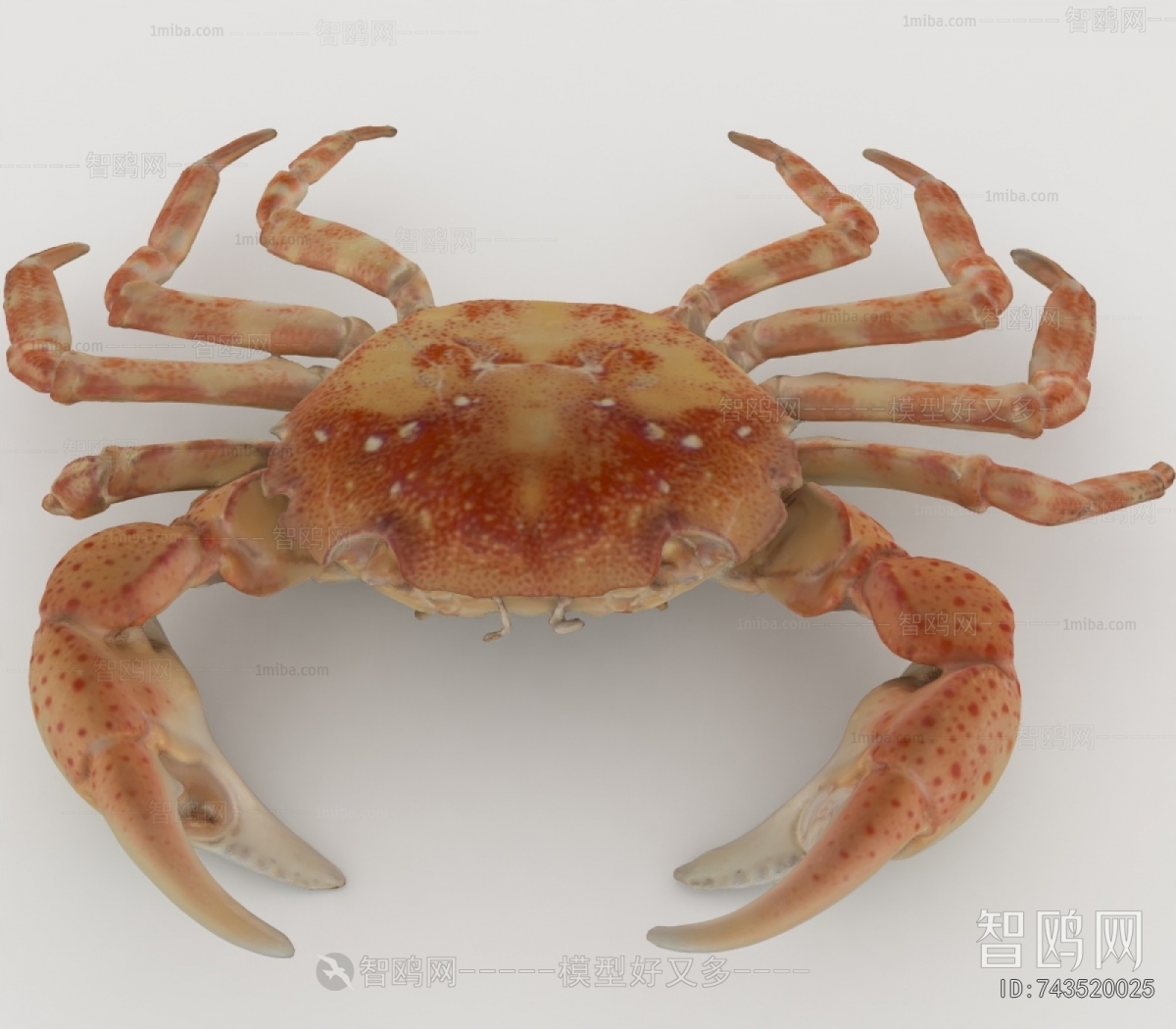 Modern Aquatic Animals