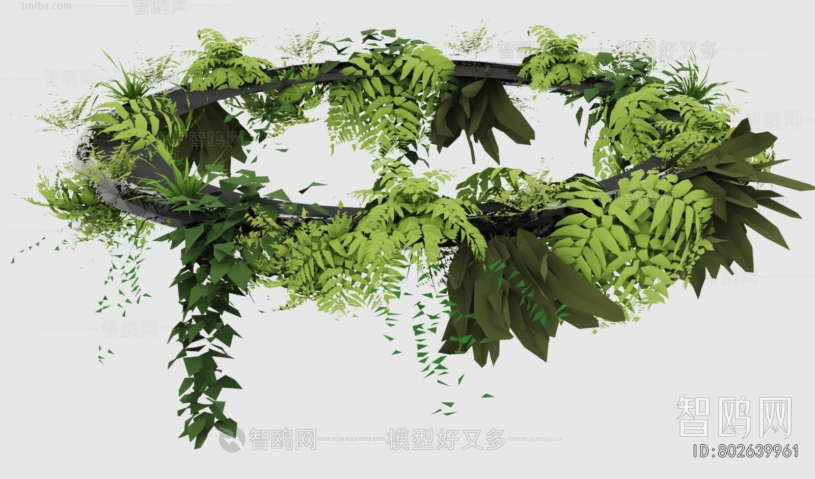 Modern Chlorophytum Comosum