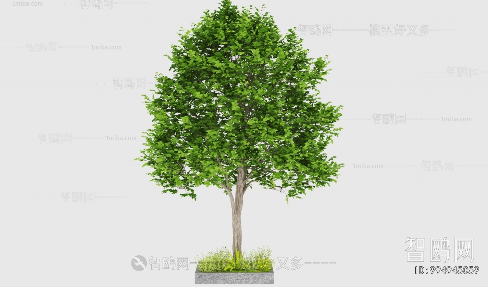Modern Tree
