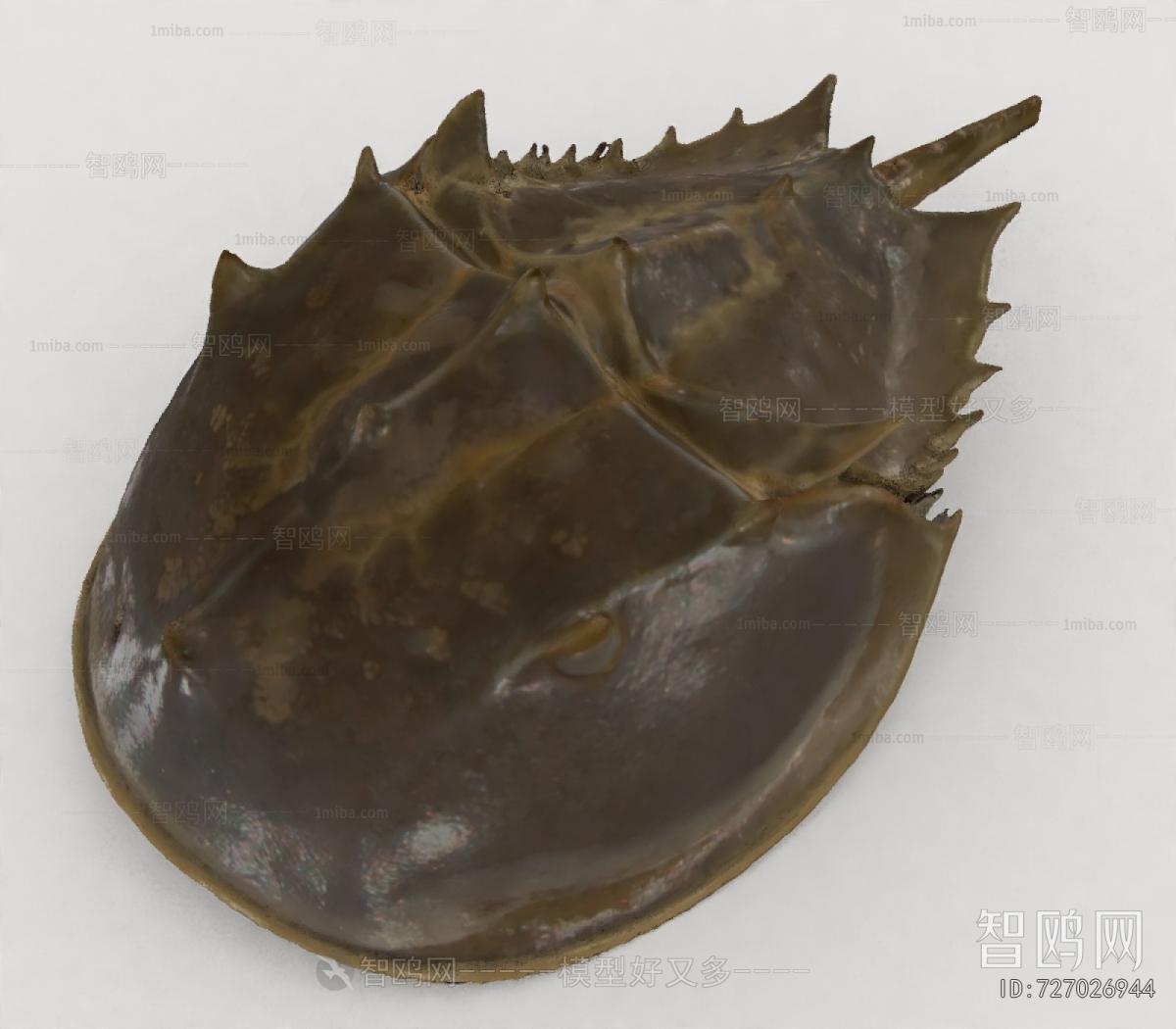 Modern Other Animals