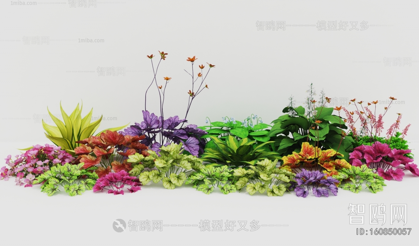 Modern Flowers And Grass