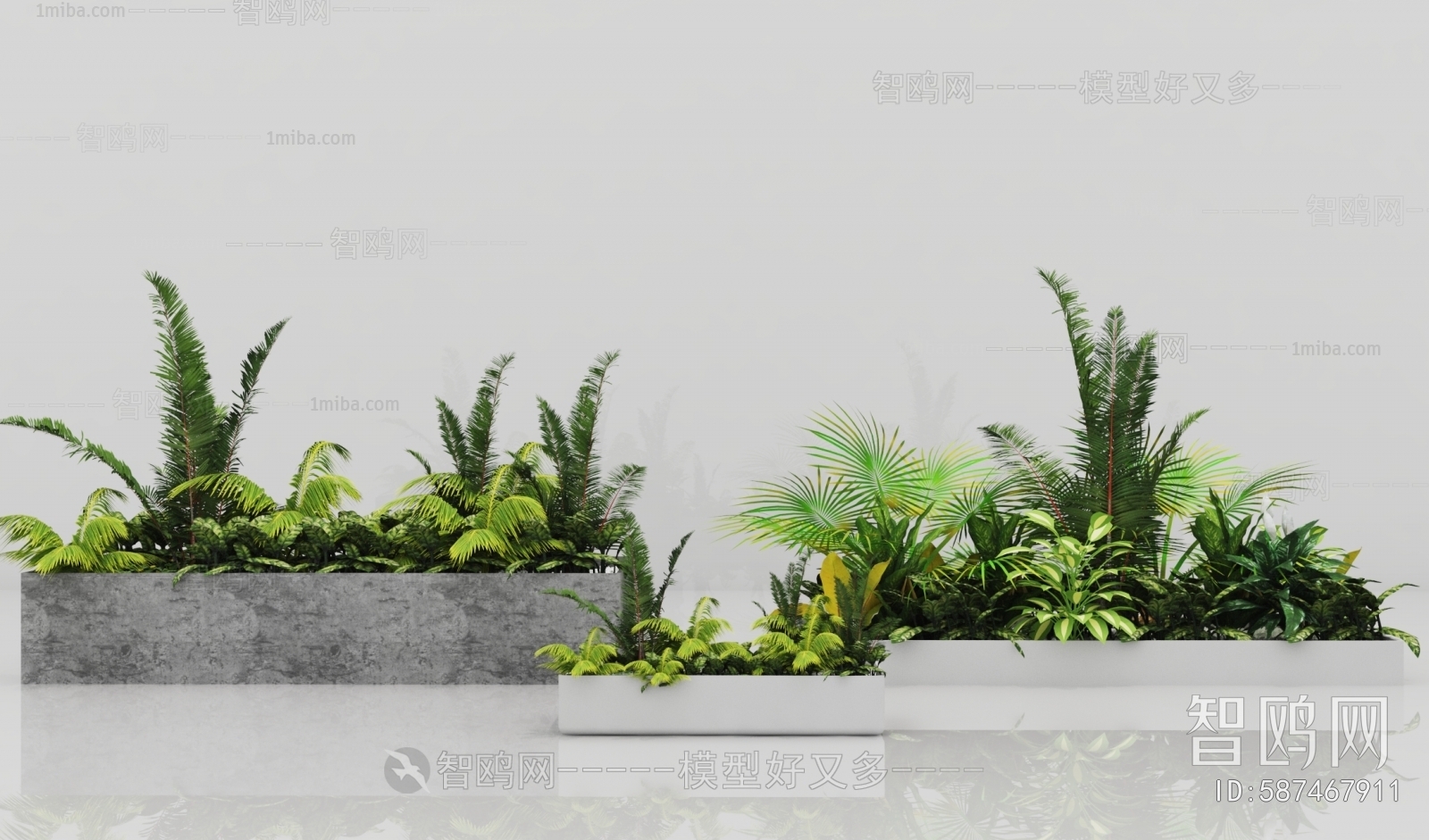 Modern Potted Green Plant