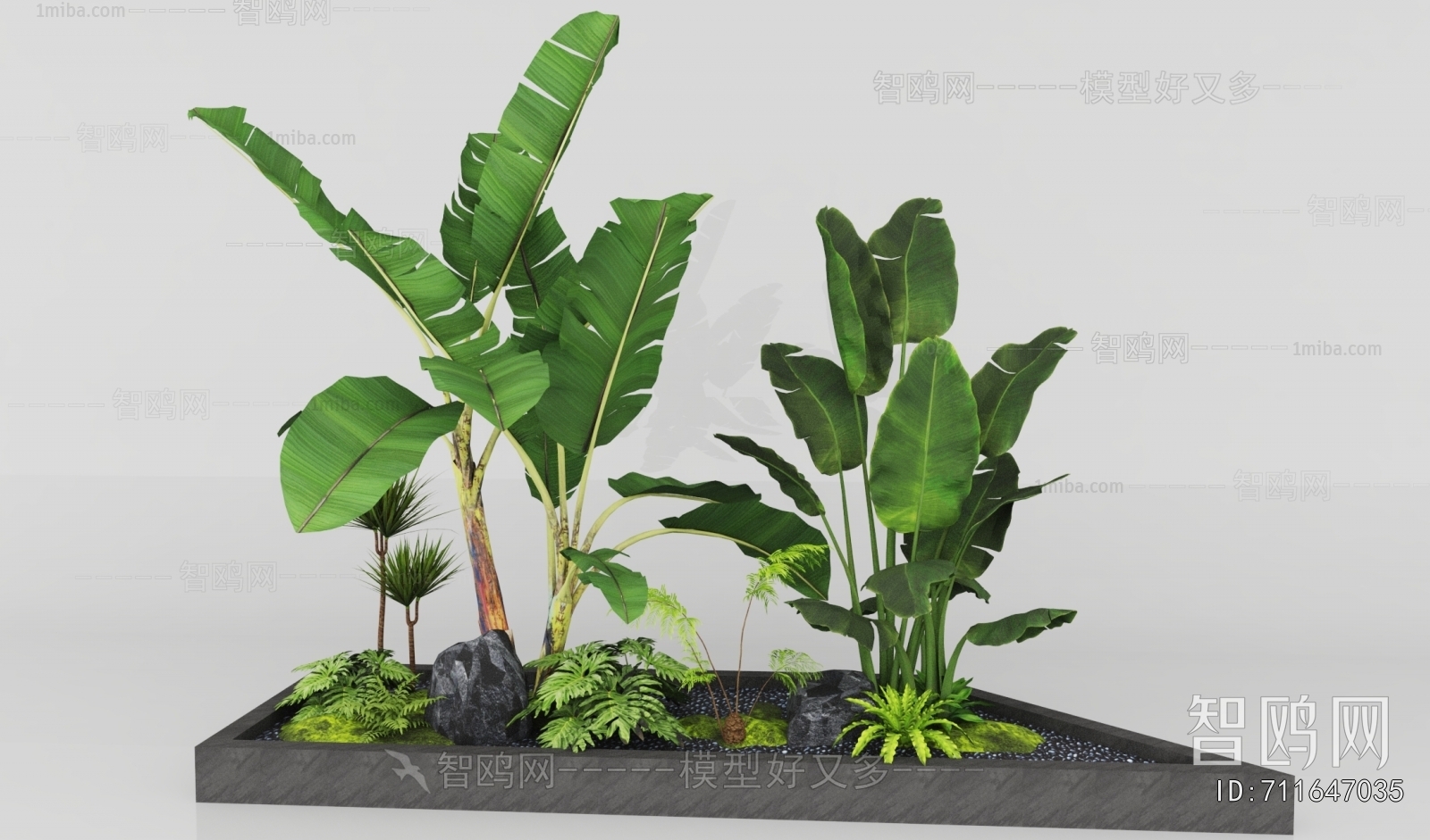 Modern Plant Landscaping