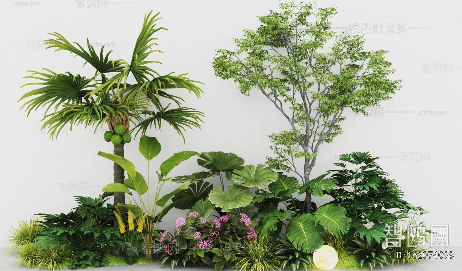 Modern Plant Landscaping