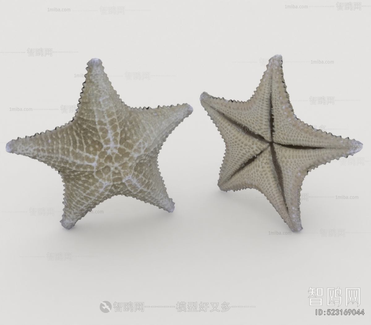 Modern Aquatic Animals