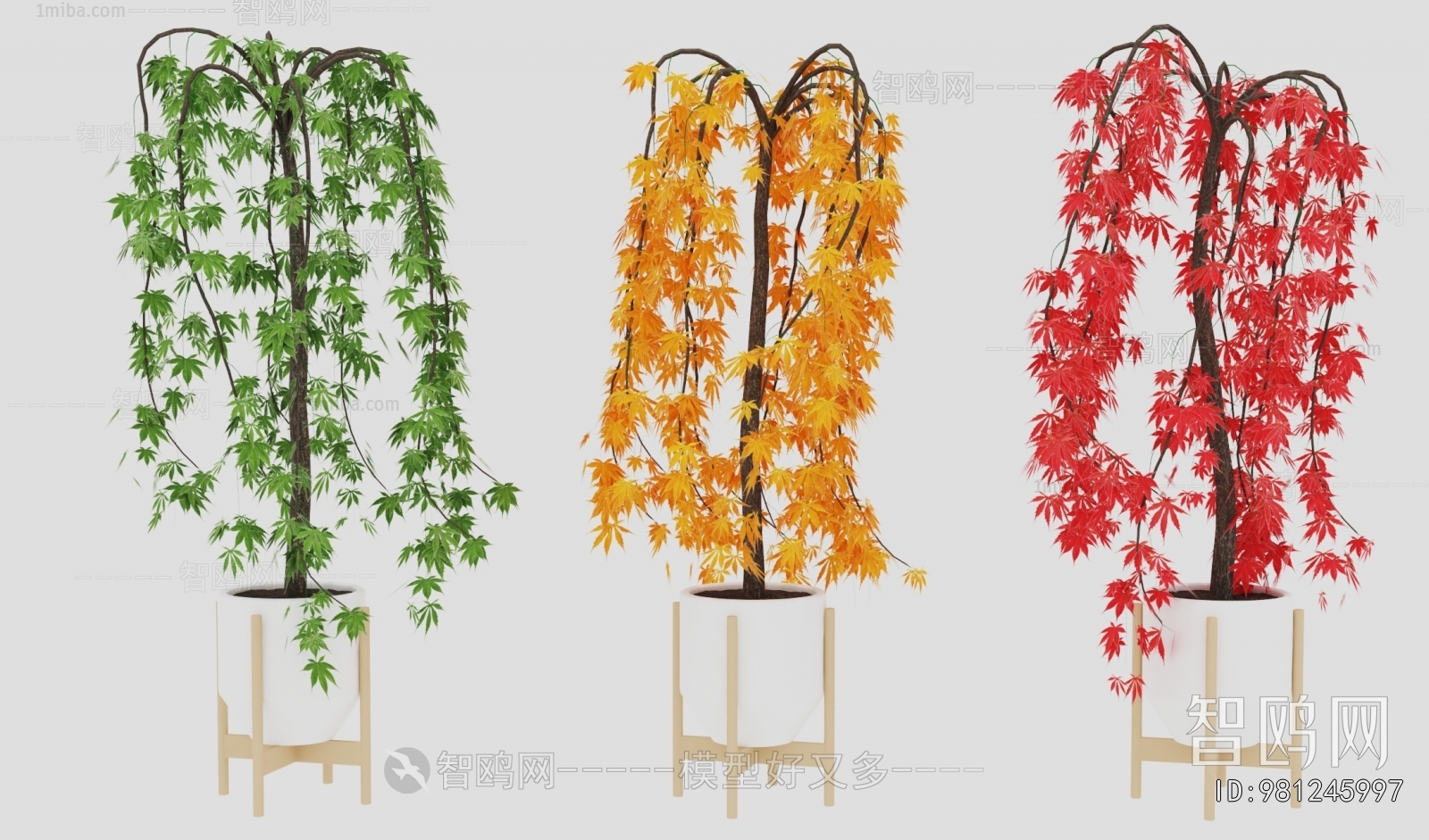 Modern Potted Green Plant